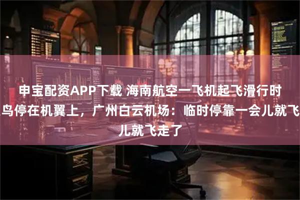 申宝配资APP下载 海南航空一飞机起飞滑行时一只鸟停在机翼上，广州白云机场：临时停靠一会儿就飞走了
