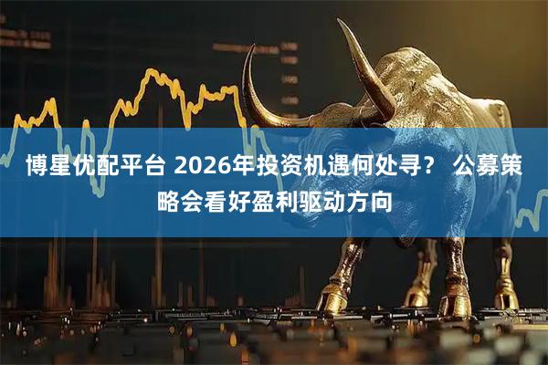 博星优配平台 2026年投资机遇何处寻? 公募策略会看好盈利驱动方向